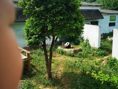 -无锡动物园·太湖欢乐园
