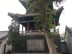 -关林
