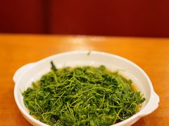 酒香菜头-牧羊餐厅