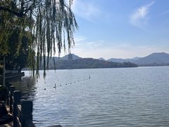 -杭州西湖柳莺里酒店·闻莺厅