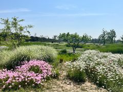 -汉长安城未央宫国家考古遗址公园