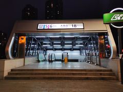 -大龙山(地铁站)