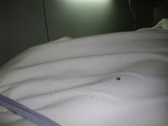 -金阊医院