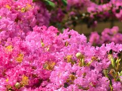 -杭州城北体育公园