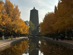 -玲珑塔公园