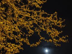 -幸福门