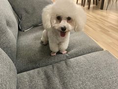 -Goku PET SHOP宠物视觉生活馆(双井店)