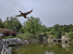 -北京西山国家森林公园