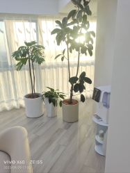 -HEYAN荷妍专业脱毛连锁机构