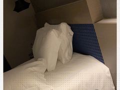 -桔子酒店(青岛五四广场店)