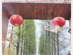 -金岛生态园烧烤露营地