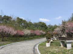 -上海海湾国家森林公园