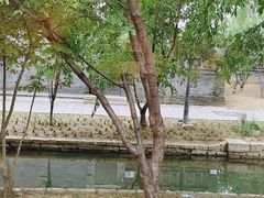 -春风习习