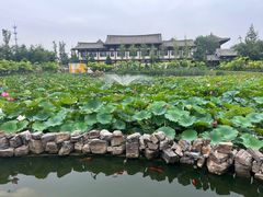 景点-隆福寺