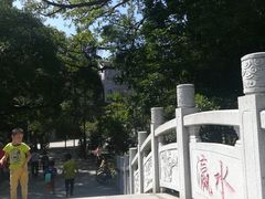 -小洲村