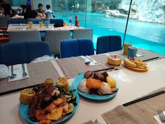 -帝企鹅自助餐厅•儿童岛•真企鹅(长隆企鹅酒店)