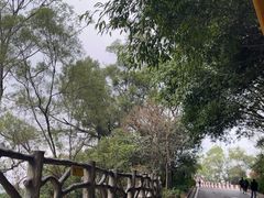 -白云山风景名胜区