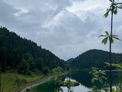 -武陵山森林公园