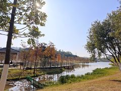-东莞植物园