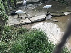 -兰陵国家农业公园