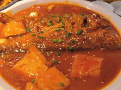 黄鱼烧豆腐-酒肉行·虎子盐筋烤肉(大寨路店)