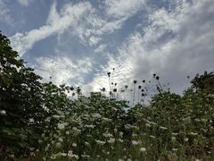 -汉长安城未央宫国家考古遗址公园