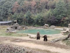 -杭州野生动物世界