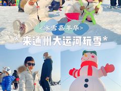 -绿野森林乐园冰雪季