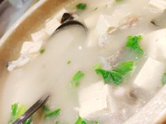鱼头豆腐汤-哈尔滨阳光饺子园(阳光花园店)