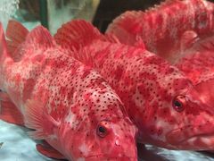 -阿伟海鲜楼·福建菜(延寿店)