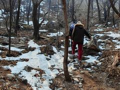 -阳台山自然风景区