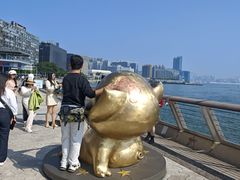 -星光大道
