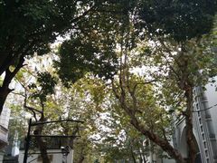 -南宋御街
