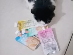 -Heymao猫咖.咖啡厅(东门店)