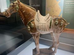 -衢州市博物馆