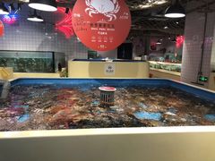 -日进一片海.生腌海鲜火锅.宵夜烧烤(三里屯总店)
