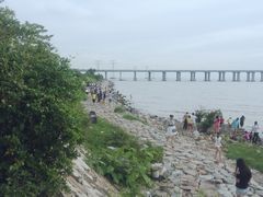 -宝安西湾红树林湿地公园