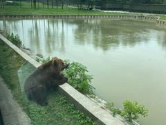 -上海野生动物园