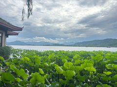 -湖畔居茶楼(湖滨店)