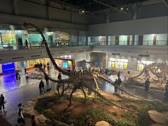 -自贡恐龙博物馆