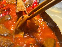 -阳阳老火锅(小南门店)