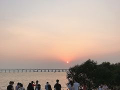 -宝安西湾红树林湿地公园