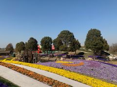 -南通洲际绿博园