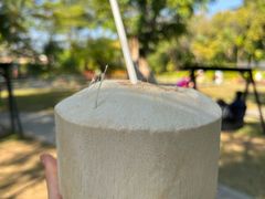 -西双版纳洲际度假酒店兰吧
