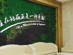 -玛丽亚妇产医院