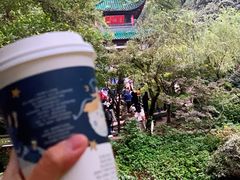 -茶颜悦色(岳麓山顶店)
