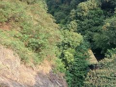 -牛鱼嘴原始生态风景区
