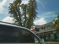 -溧水东庐山服务区-停车场