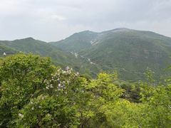 -妙峰山风景名胜区