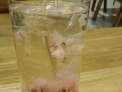 -柴务处·柴犬主题狗咖